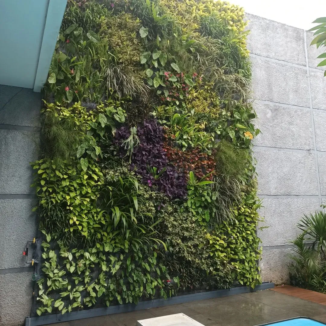 Jasa Vertical Garden di Mampang Prapatan, Jakarta Selatan